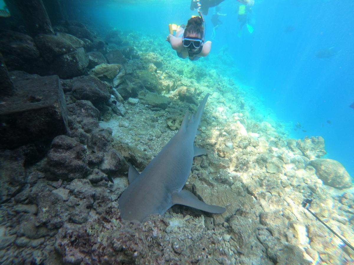 White Sand Lodge Maafushi Ngoại thất bức ảnh